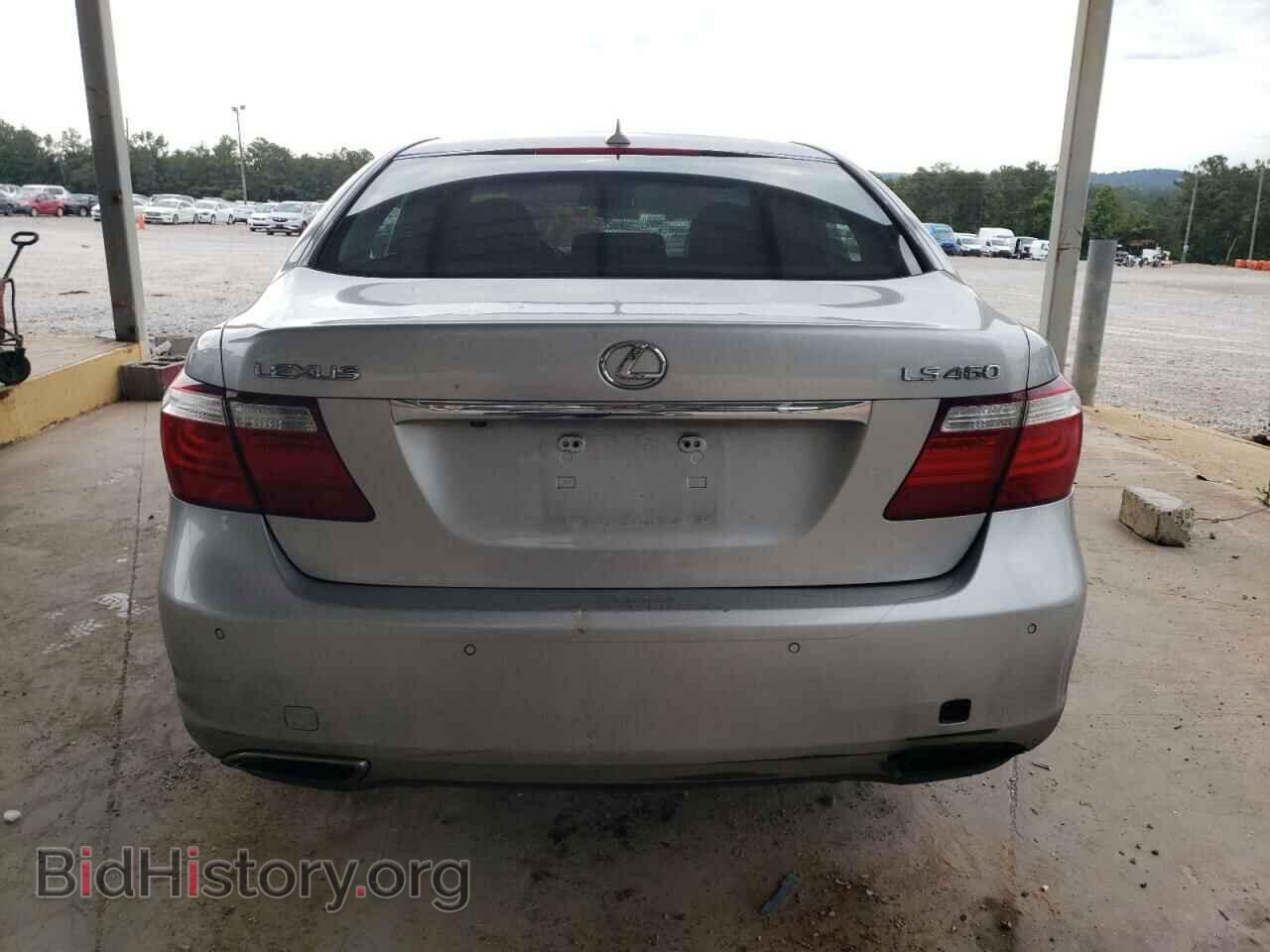 2009 LEXUS LS460 - VIN: JTHBL46F095090445 - Фото 6