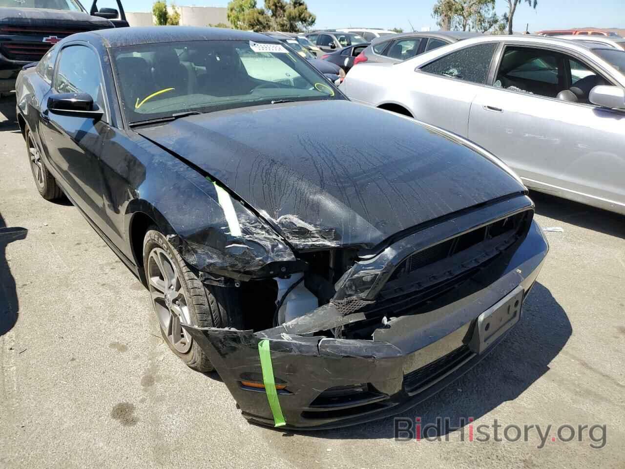 Photo 1ZVBP8AM8E5217971 - FORD MUSTANG 2014