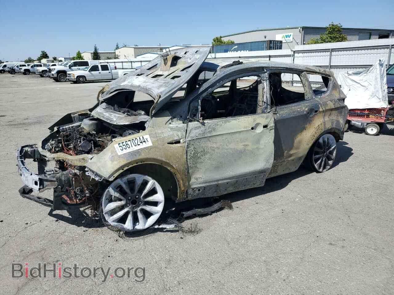 Фотография 1FMCU0GX0EUC52296 - FORD ESCAPE 2014