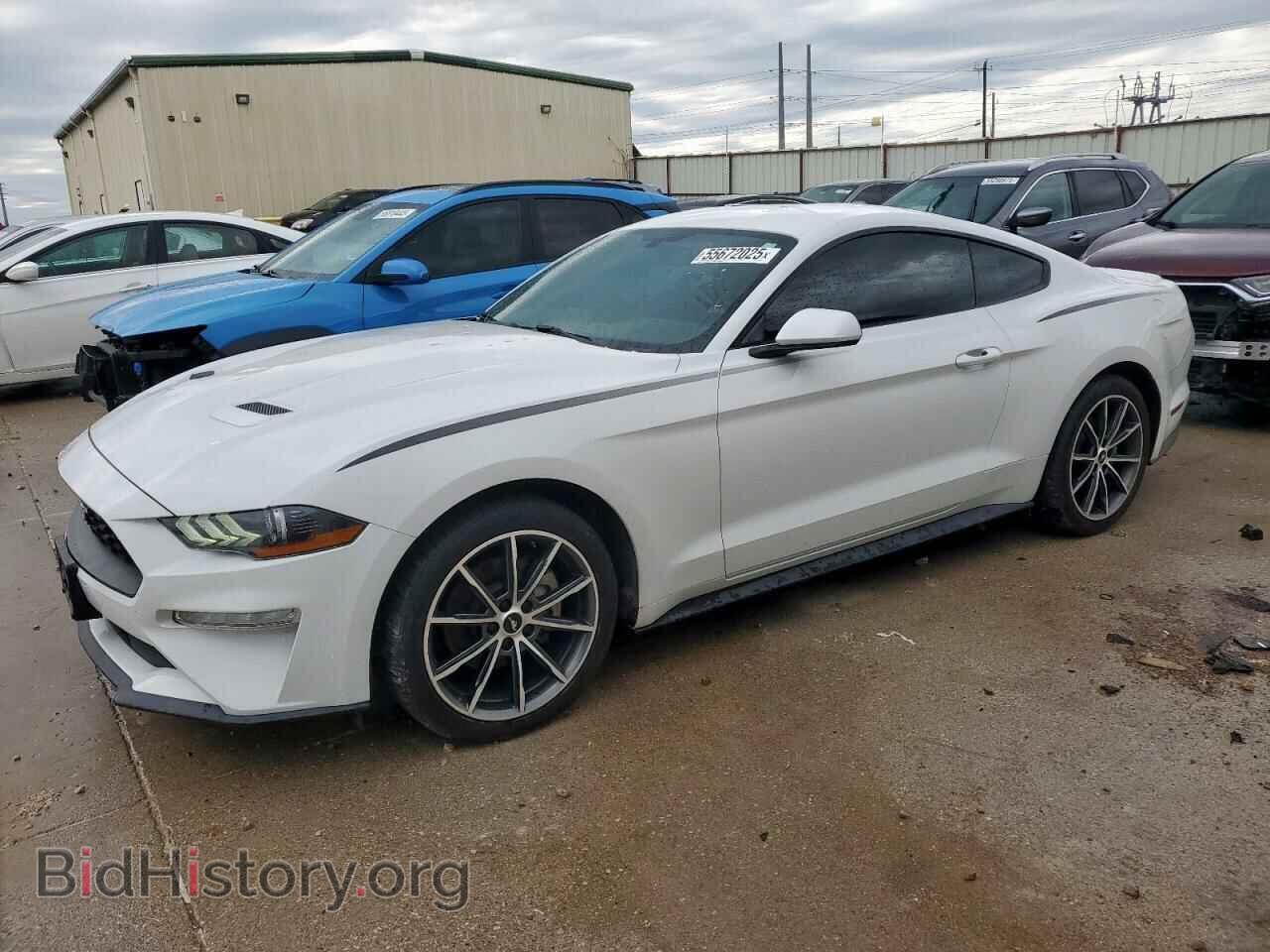 Фотография 1FA6P8TH4K5130459 - FORD ALL Models 2019