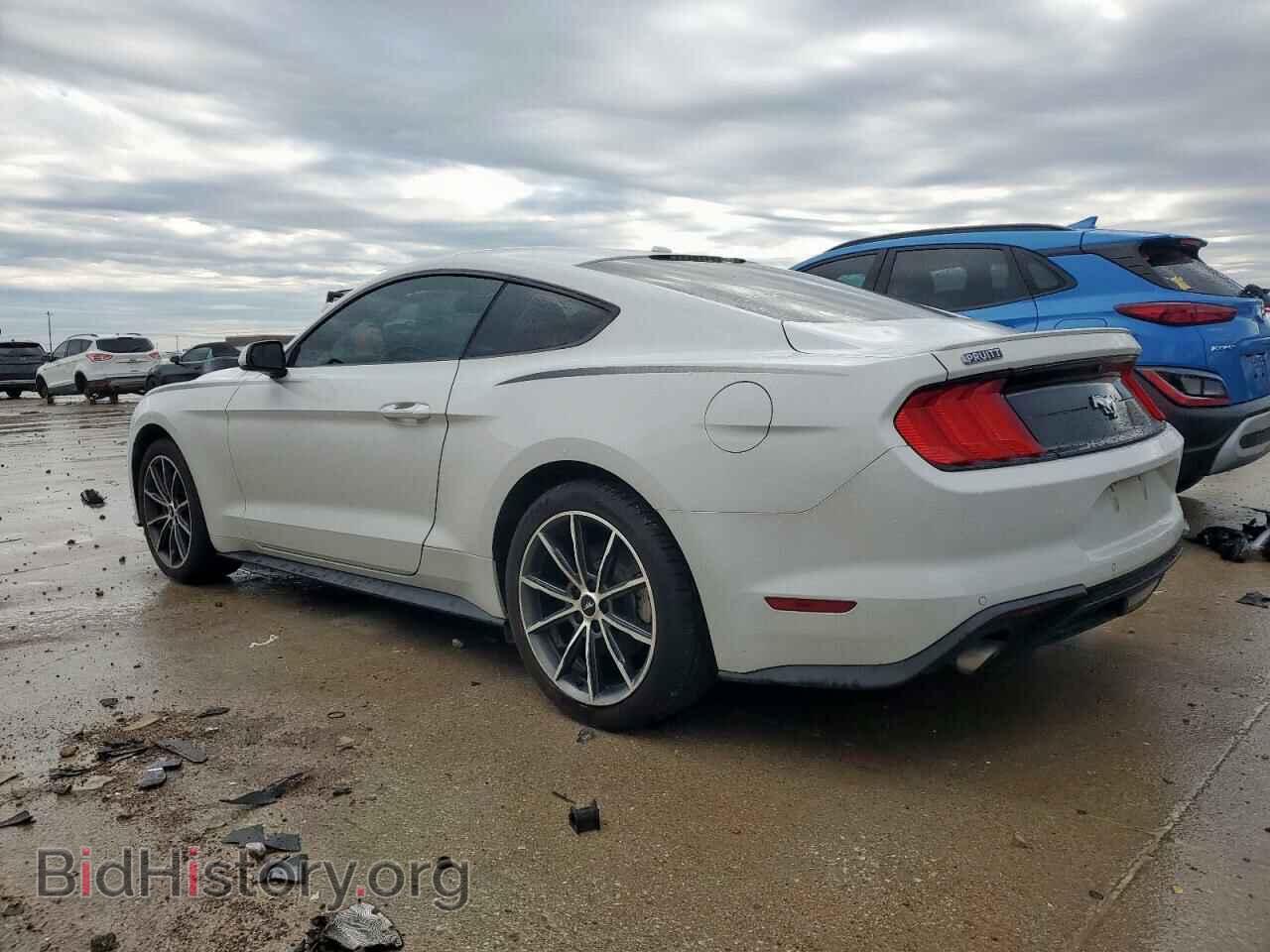 2019 FORD ALL Models - VIN: 1FA6P8TH4K5130459 - Фото 2