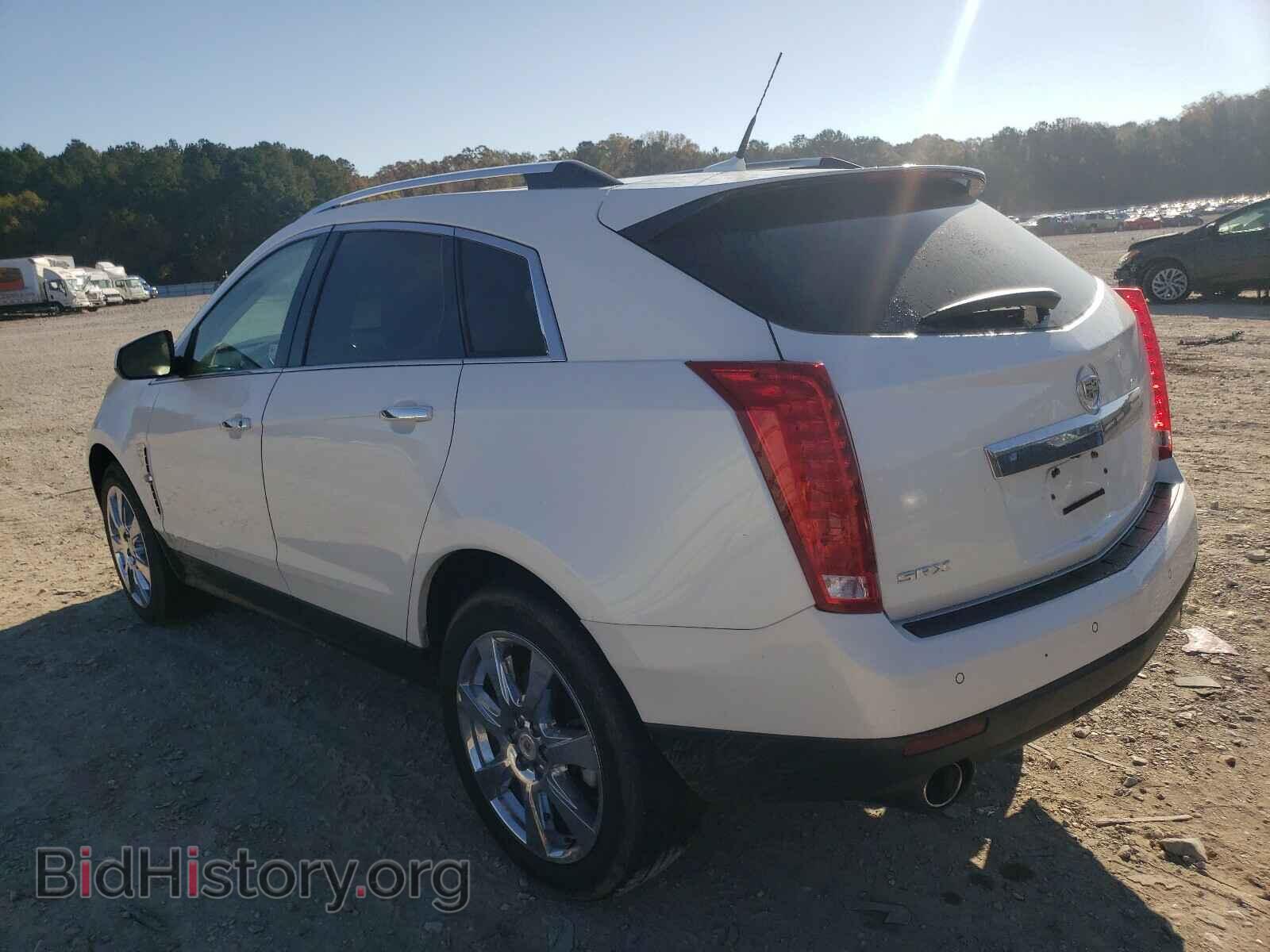 2010 CADILLAC SRX - VIN: 3GYFNCEY8AS619784 - Фото 3