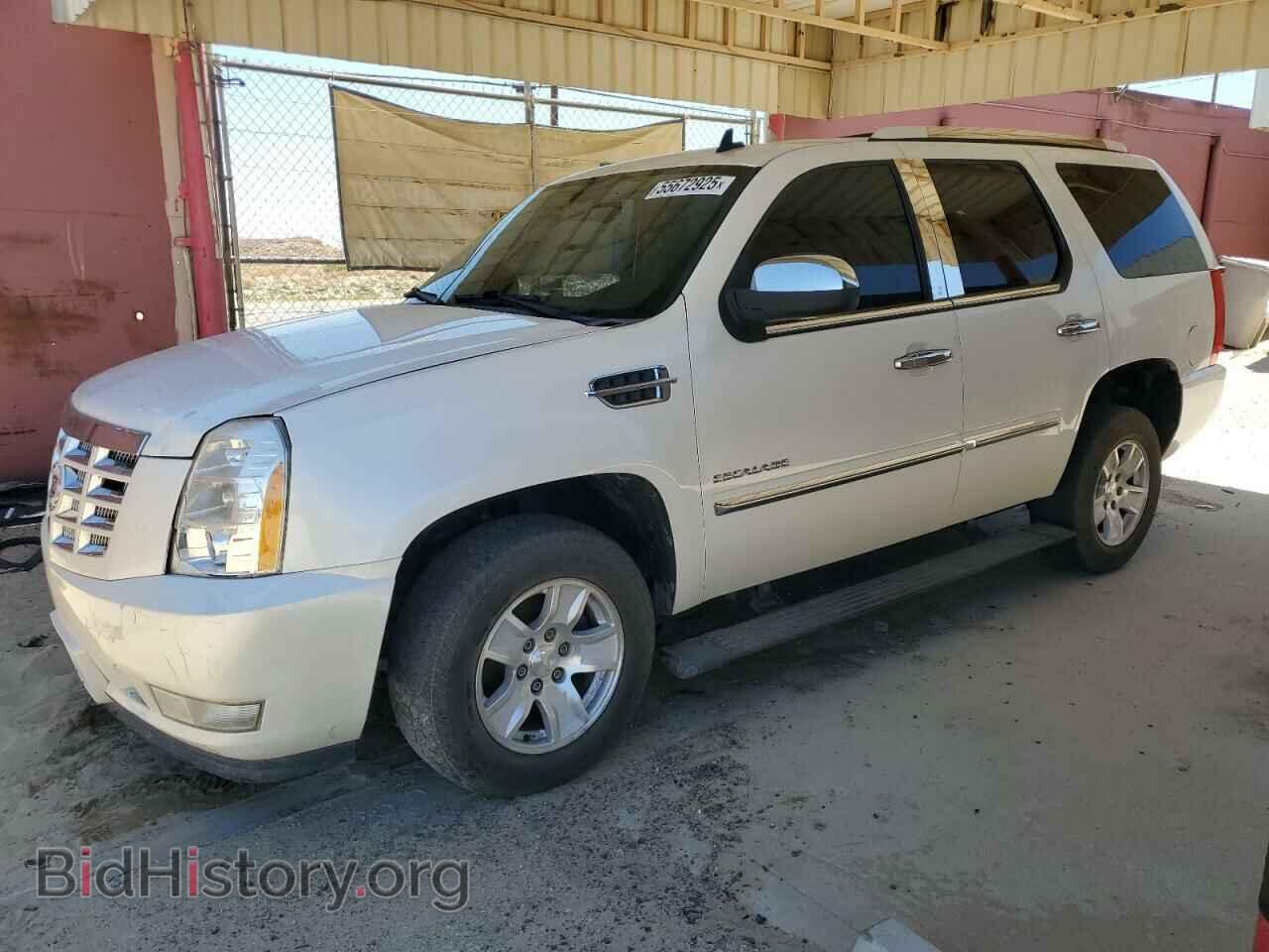 Photo 1GYS4CEF6BR206864 - CADILLAC ESCALADE 2011