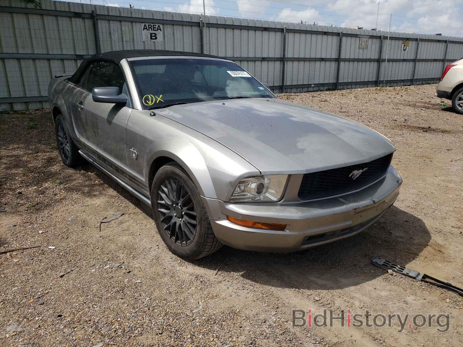 Photo 1ZVHT84N695133115 - FORD MUSTANG 2009