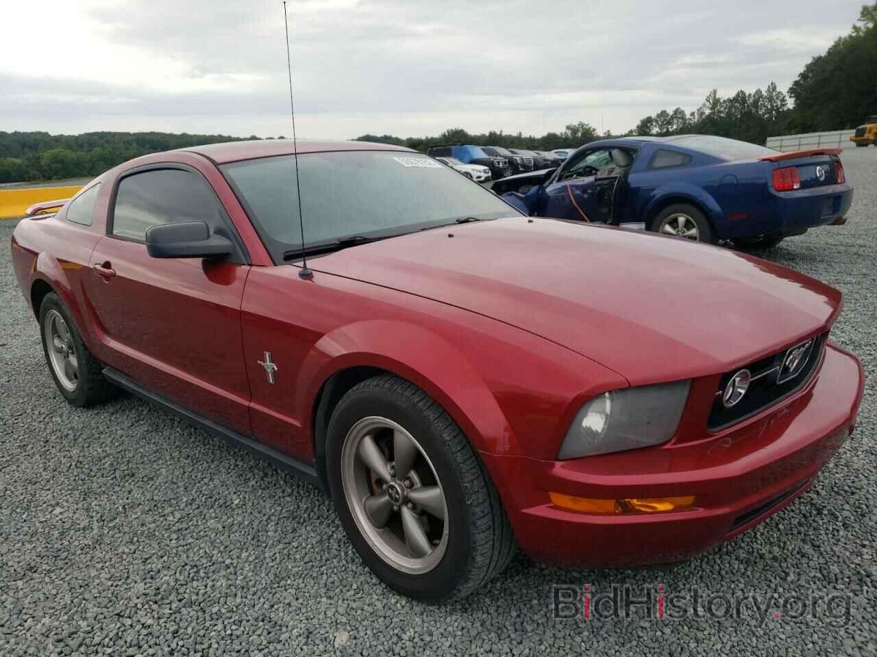 Photo 1ZVFT80N365186668 - FORD MUSTANG 2006