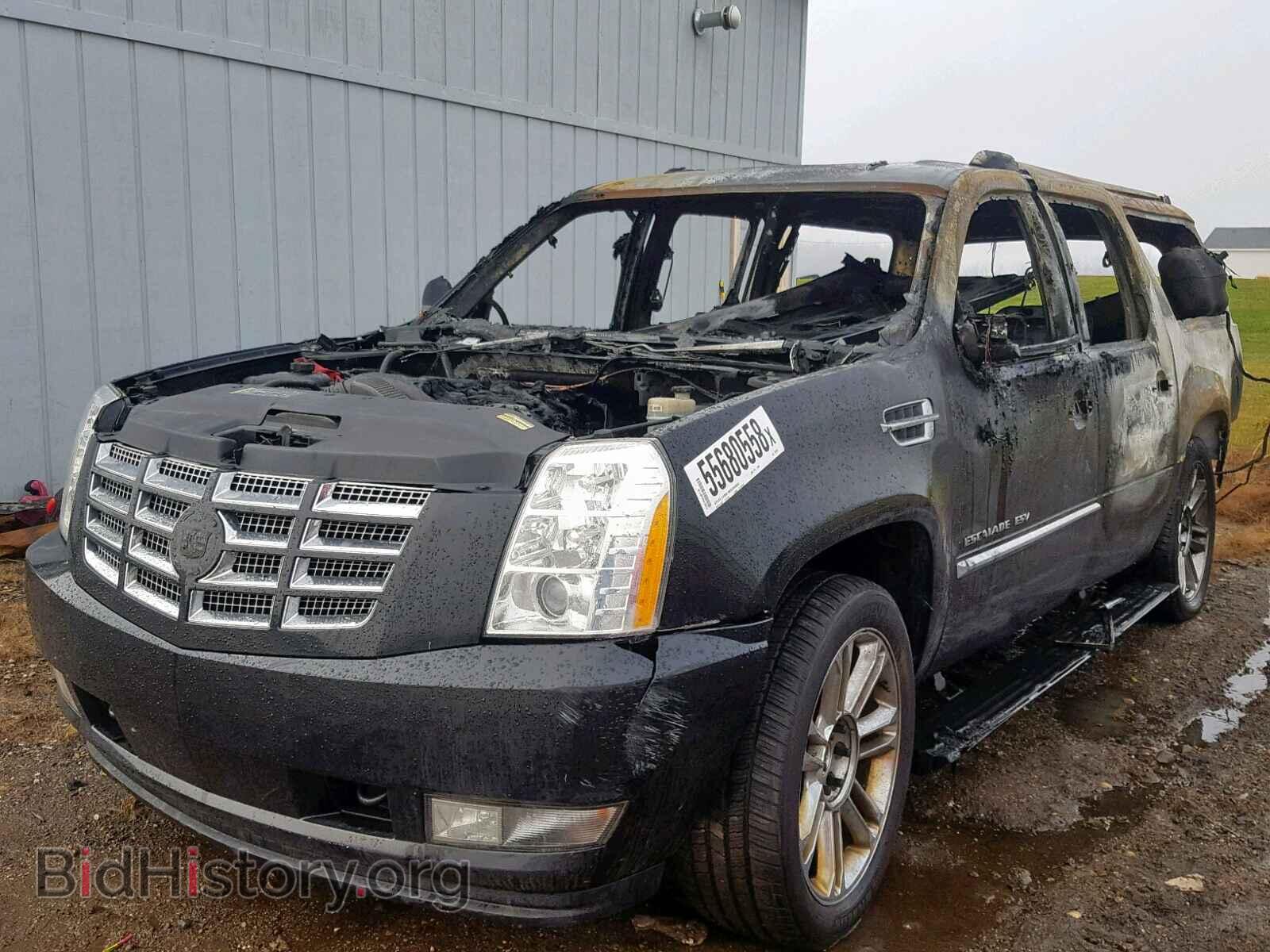 2010 CADILLAC ESCALADE E - VIN: 1GYUKJEF3AR239399 - Фото 2