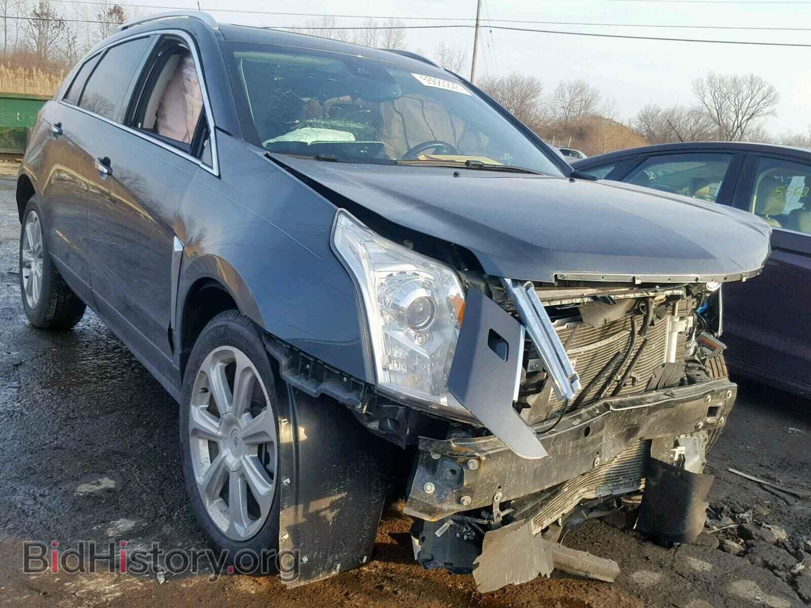 Фотография 3GYFNDE39DS520258 - CADILLAC SRX PERFOR 2013