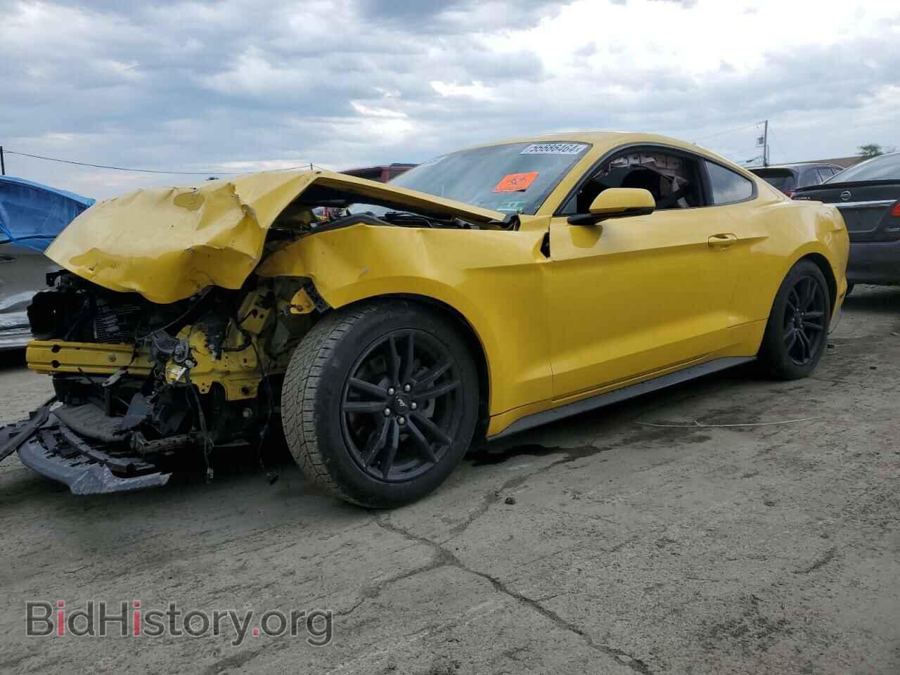 Photo 1FA6P8TH5H5205291 - FORD ALL Models 2017