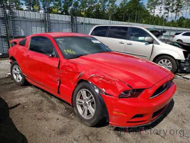 Photo 1ZVBP8AM0E5331513 - FORD MUSTANG 2014