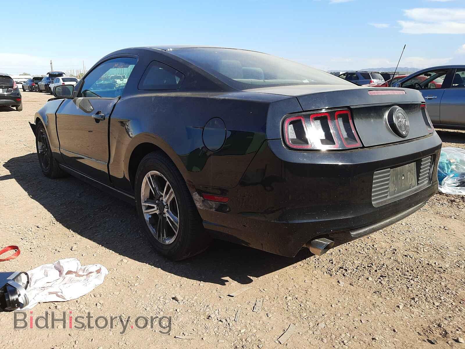 2013 FORD MUSTANG - VIN: 1ZVBP8AM7D5241662 - Фото 3
