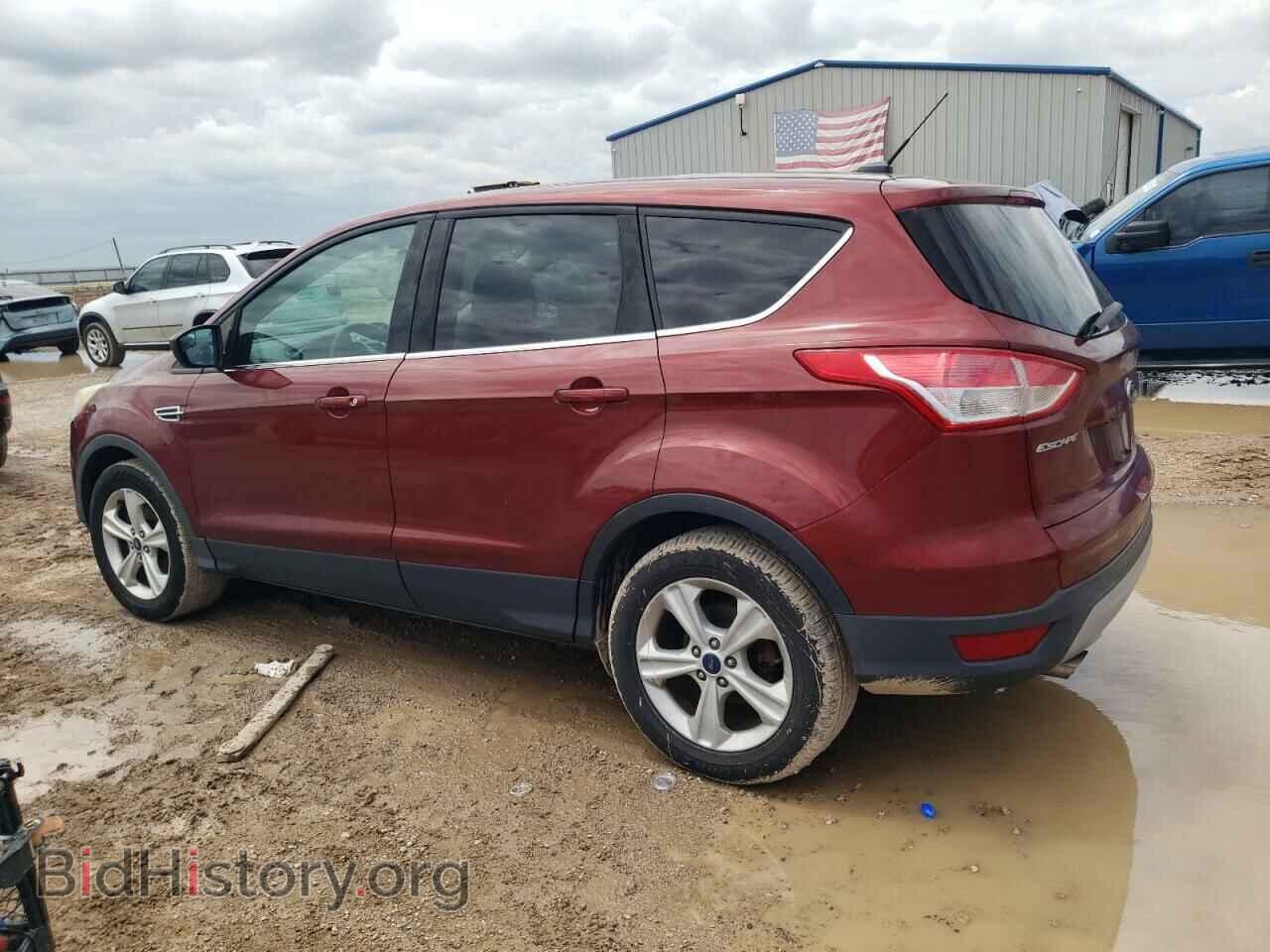 2014 FORD ESCAPE - VIN: 1FMCU0GX4EUA94397 - Фото 2