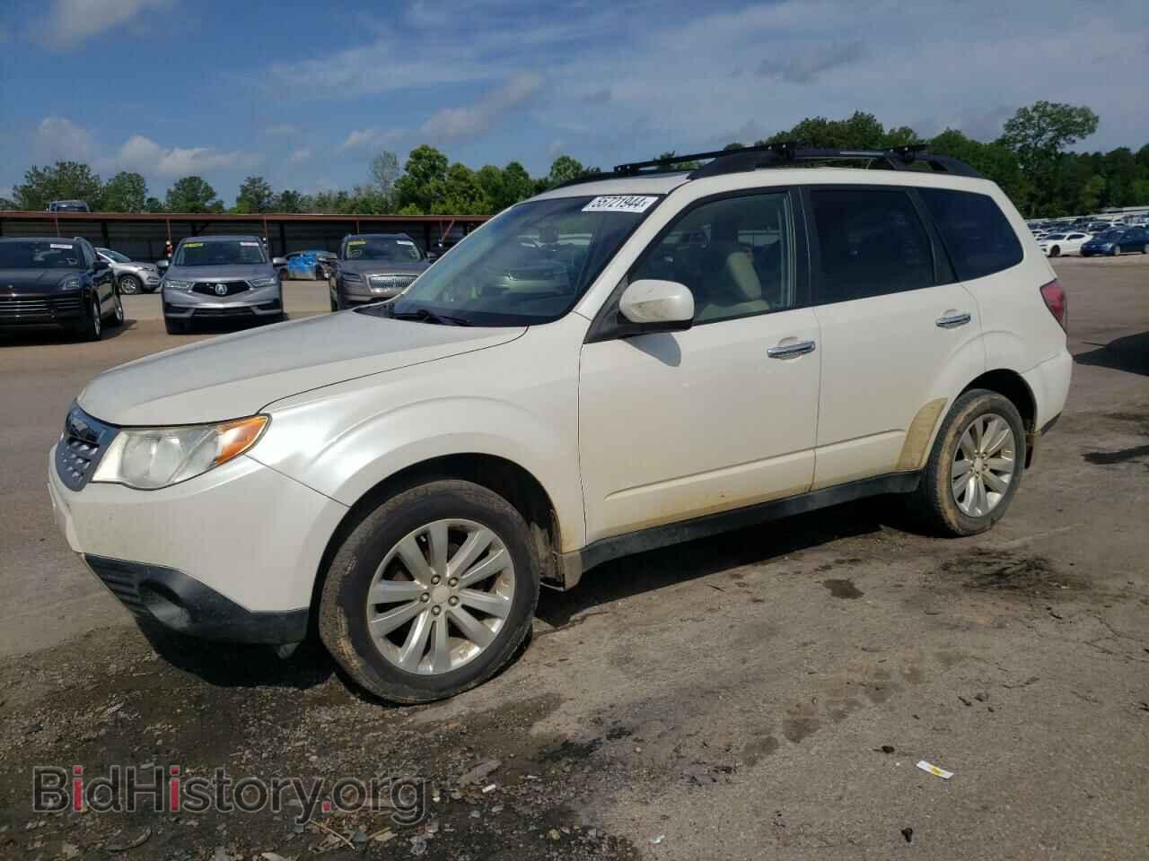Photo JF2SHBCC5BH711461 - SUBARU FORESTER 2011