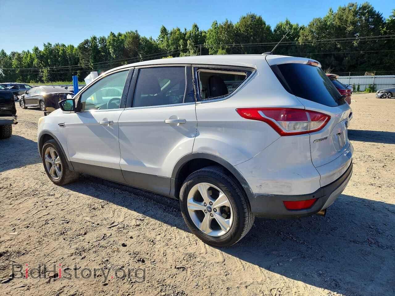 2013 FORD ESCAPE - VIN: 1FMCU0GX2DUA30390 - Фото 2