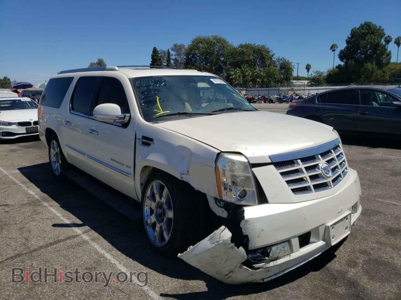 Фотография 1GYUKJEF5AR158646 - CADILLAC ESCALADE 2010