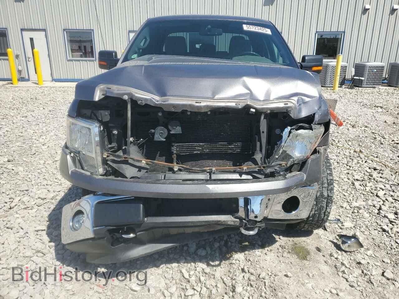 2012 FORD F-150 - VIN: 1FTFX1EF1CFC91053 - Фото 5