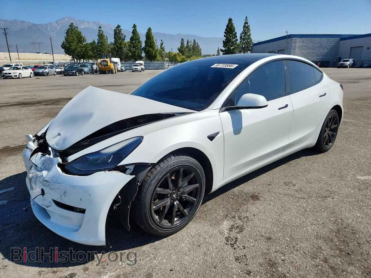 Фотография 5YJ3E1EA0PF453441 - TESLA MODEL 3 2023