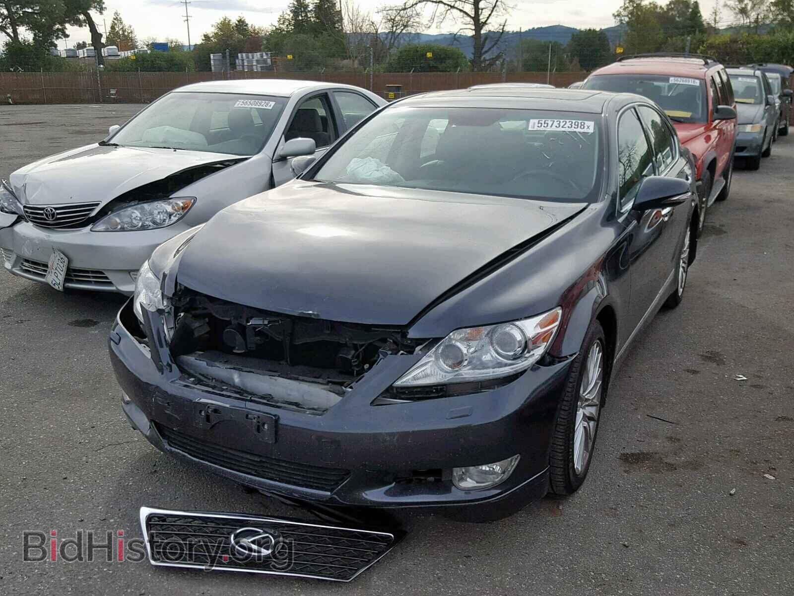 2011 LEXUS LS460 - VIN: JTHBL5EF3B5105291 - Photo 2