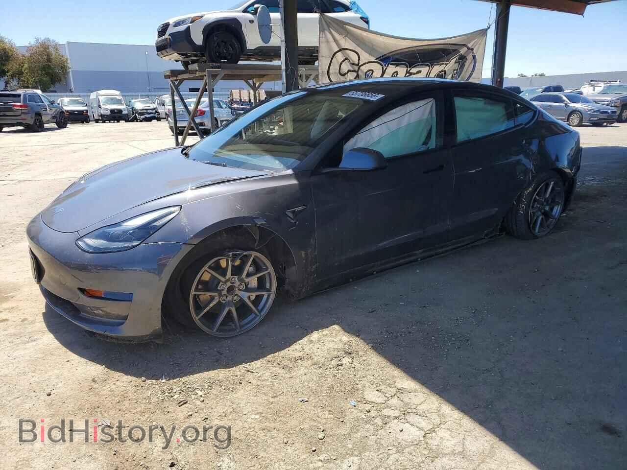Фотография 5YJ3E1EA4PF667025 - TESLA MODEL 3 2023
