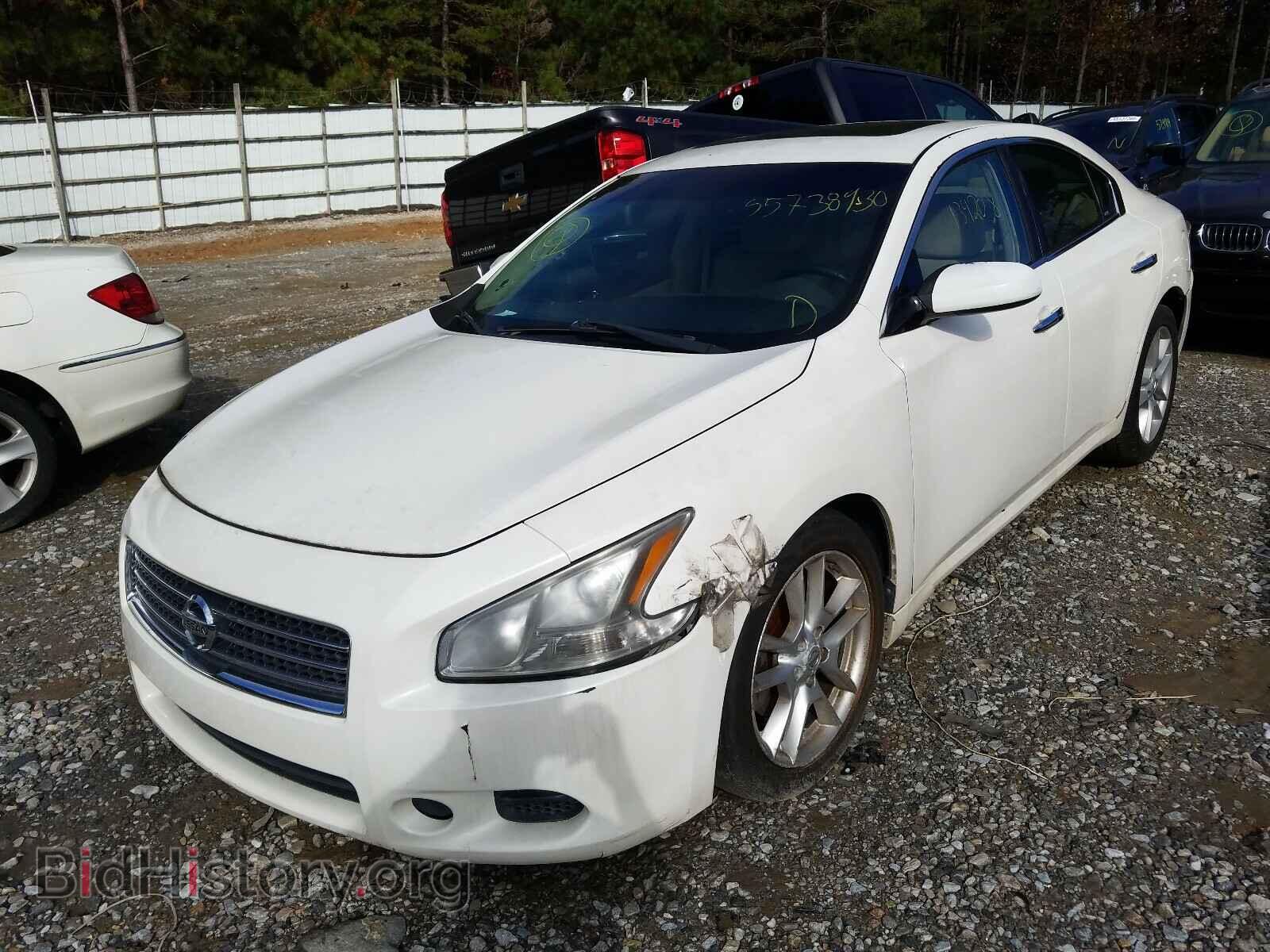 2010 NISSAN MAXIMA - VIN: 1N4AA5AP3AC858157 - Фото 2
