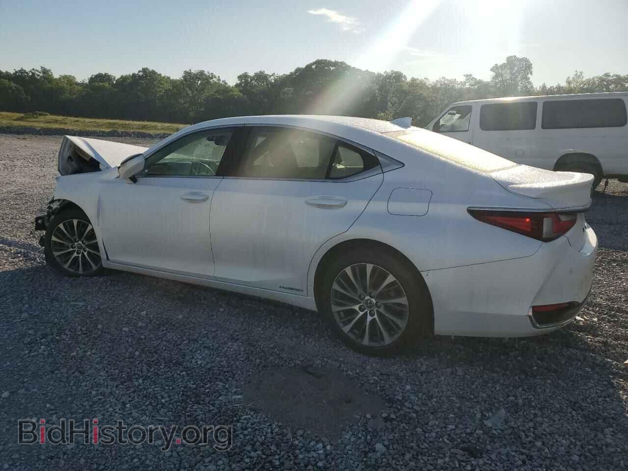 2019 LEXUS ES300 - VIN: JTHB21B11K2010377 - Фото 2