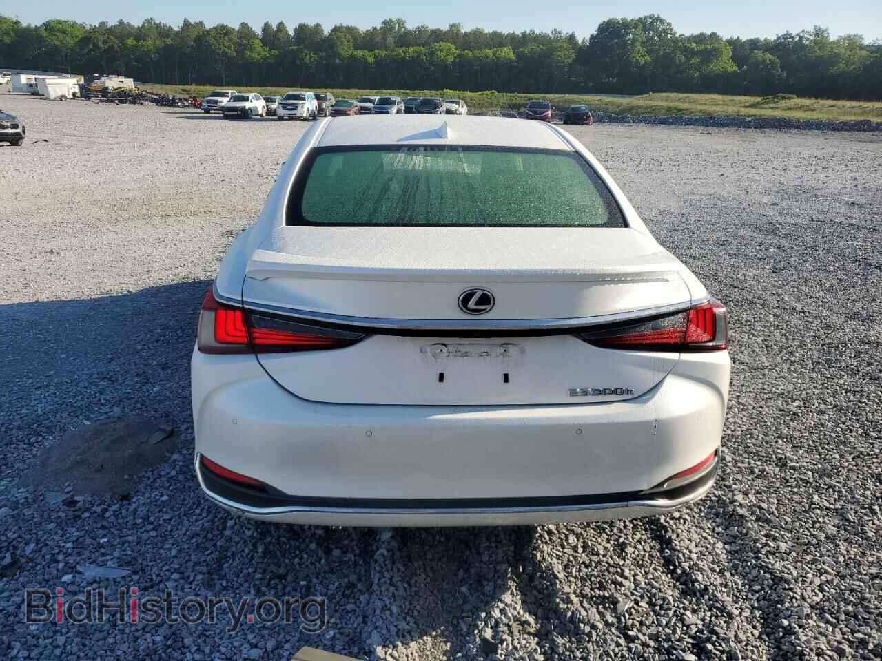 2019 LEXUS ES300 - VIN: JTHB21B11K2010377 - Фото 6