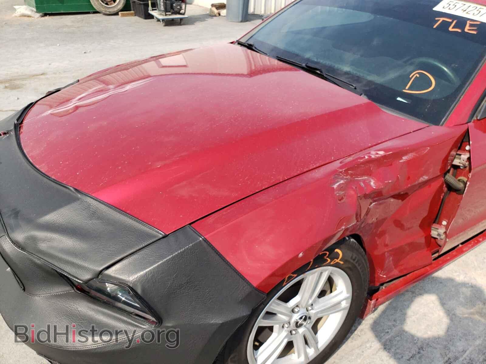2013 FORD MUSTANG - VIN: 1ZVBP8AM7D5274919 - Фото 9