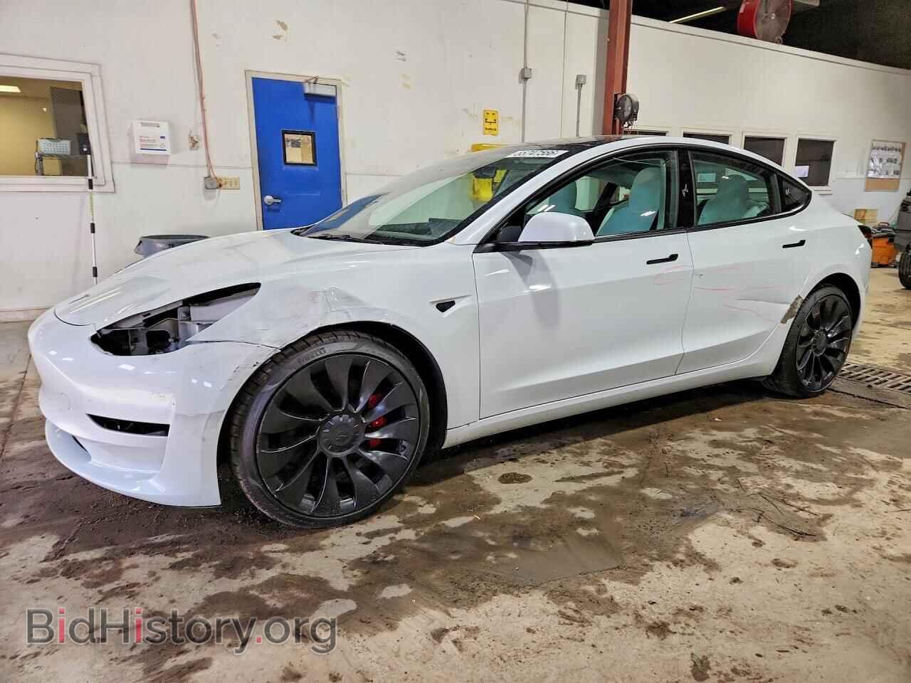 Photo 5YJ3E1EC1PF409871 - TESLA MODEL 3 2023
