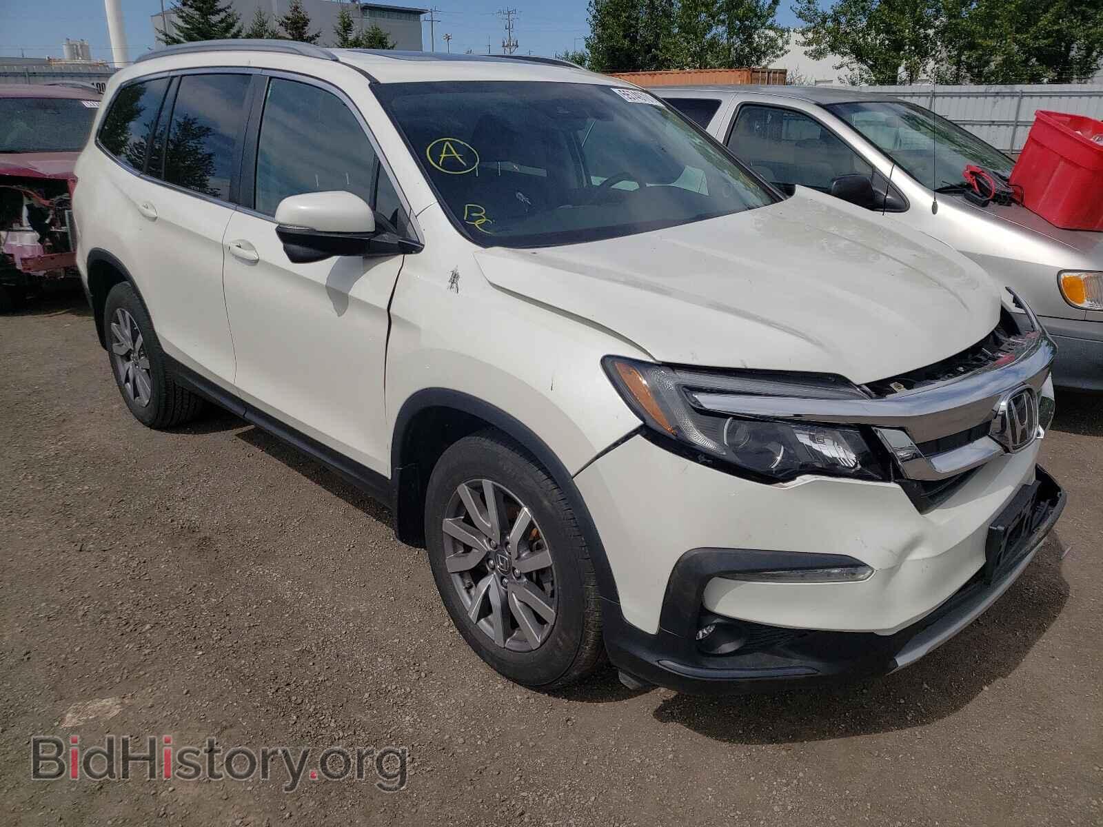 Фотография 5FNYF6H76KB506443 - HONDA PILOT 2019