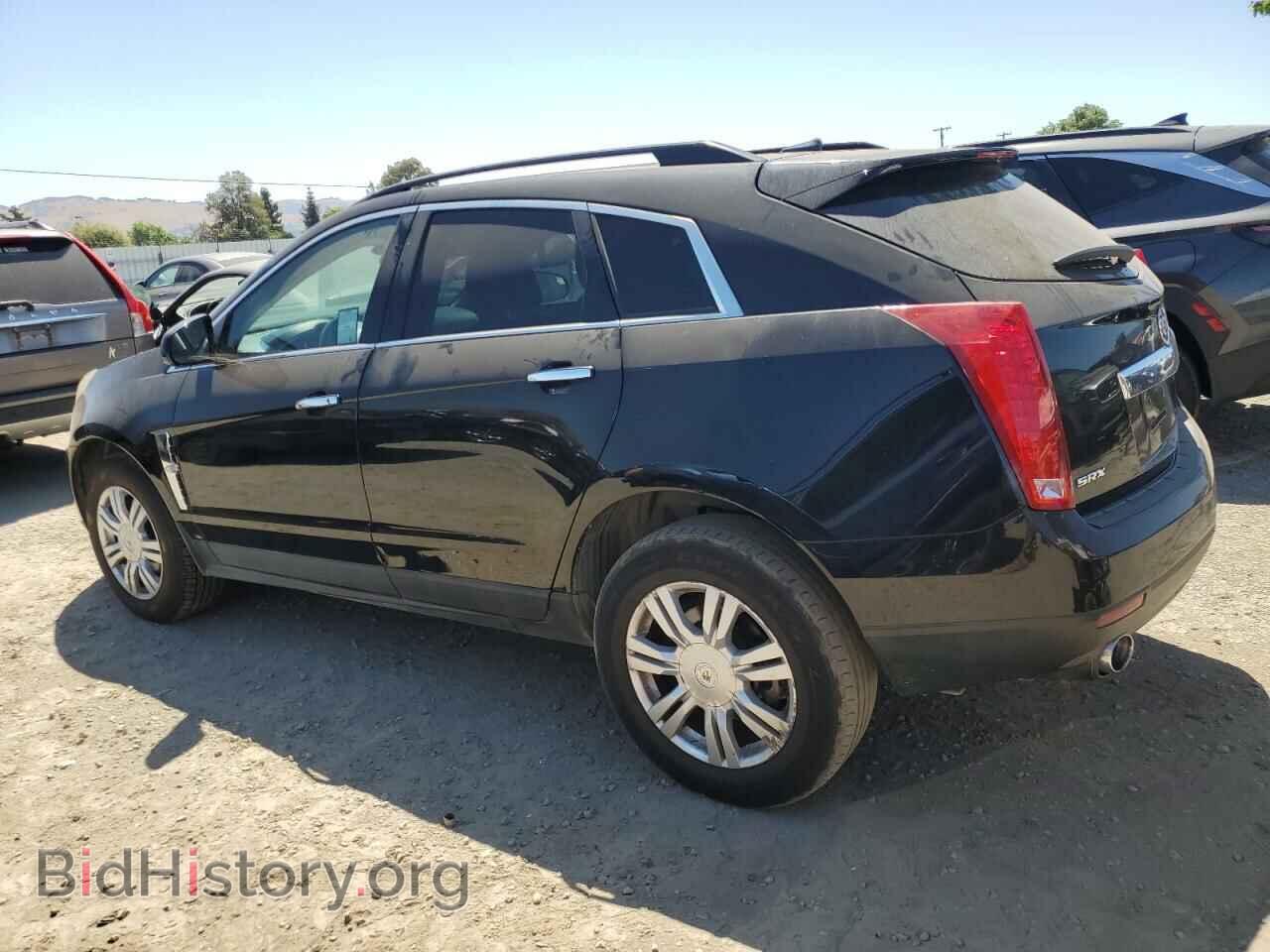2011 CADILLAC SRX - VIN: 3GYFNGEY7BS510466 - Фото 2