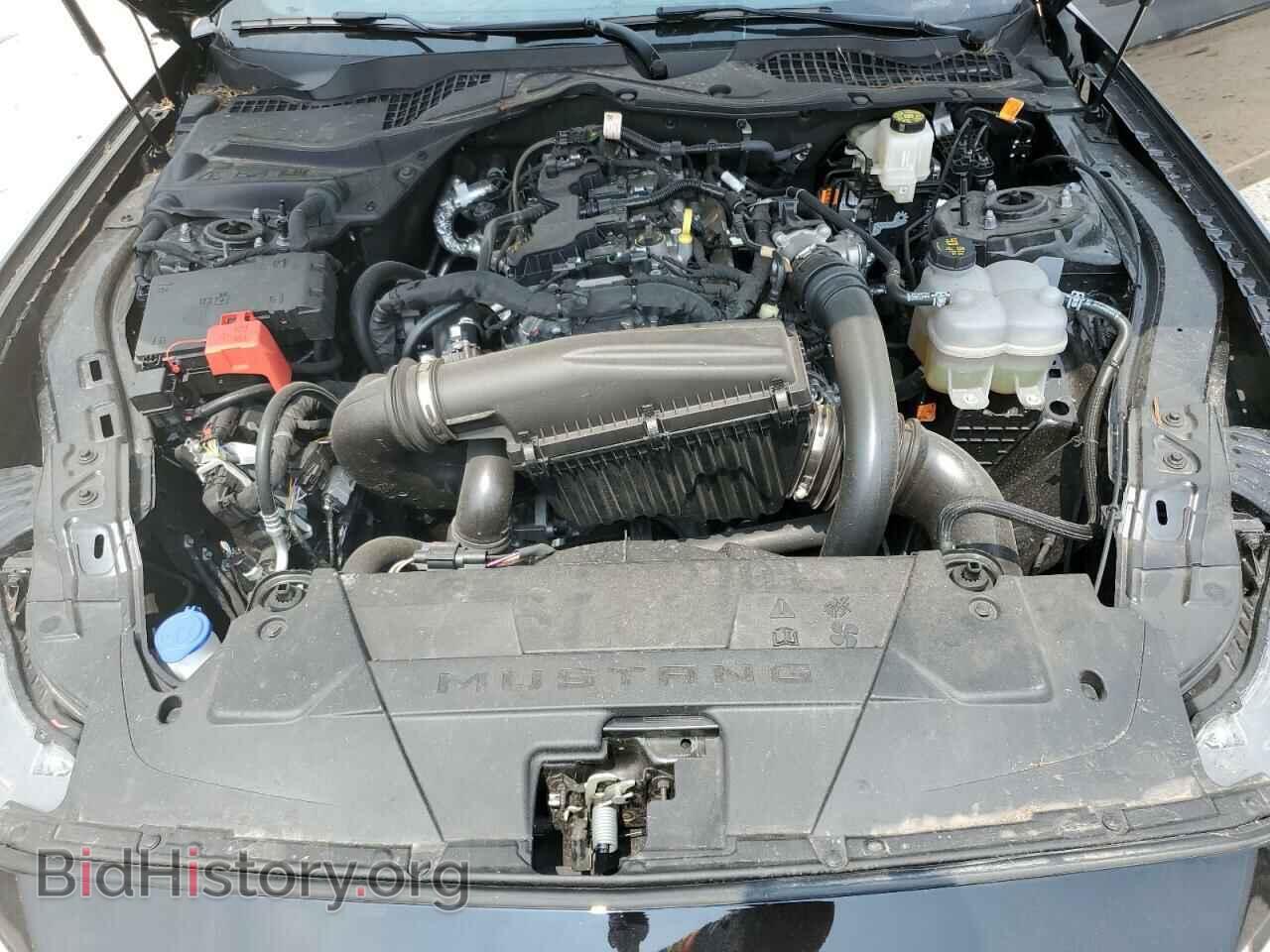 2024 FORD ALL Models - VIN: 1FA6P8TH5R5112000 - Photo 11