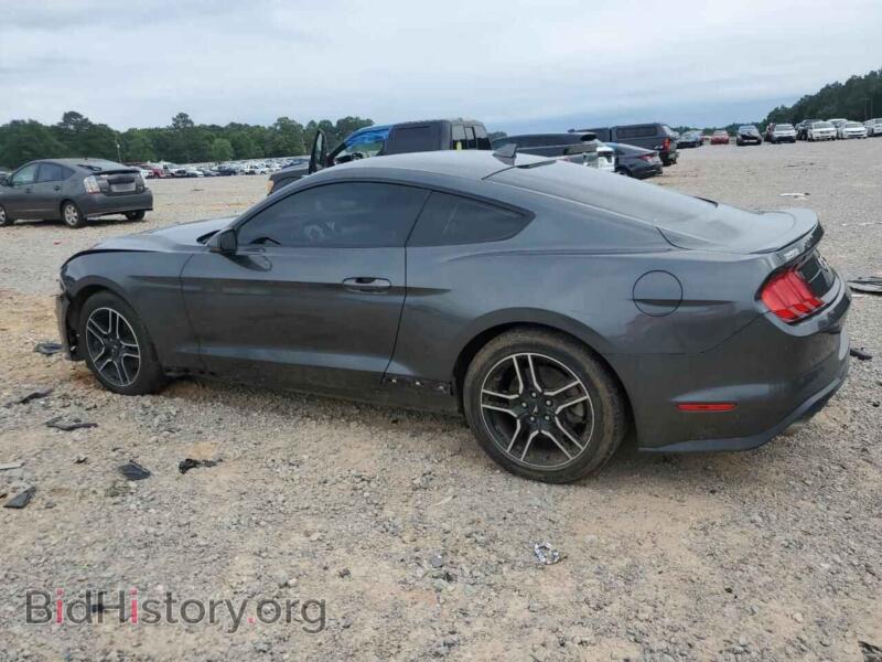 2020 Ford ALL MODELS (VIN 1FA6P8THXL5145517) — фото 2 из 15