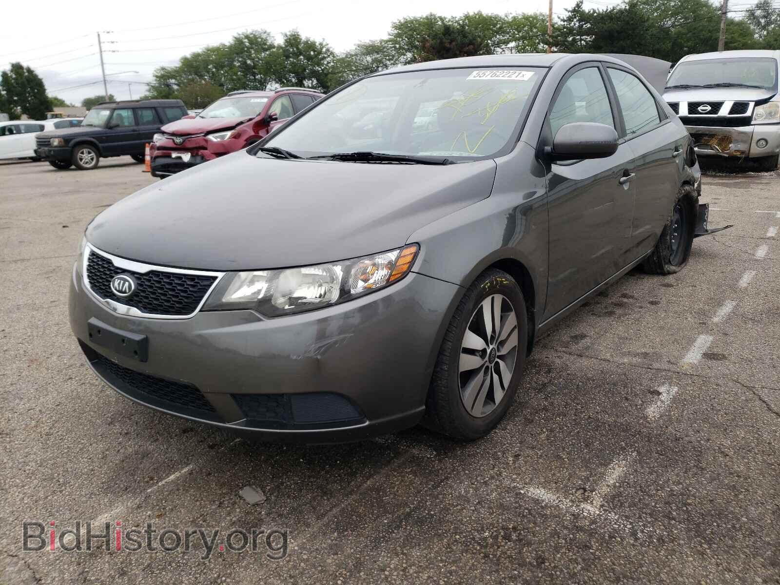 2013 KIA FORTE - VIN: KNAFU4A20D5681997 - Фото 2