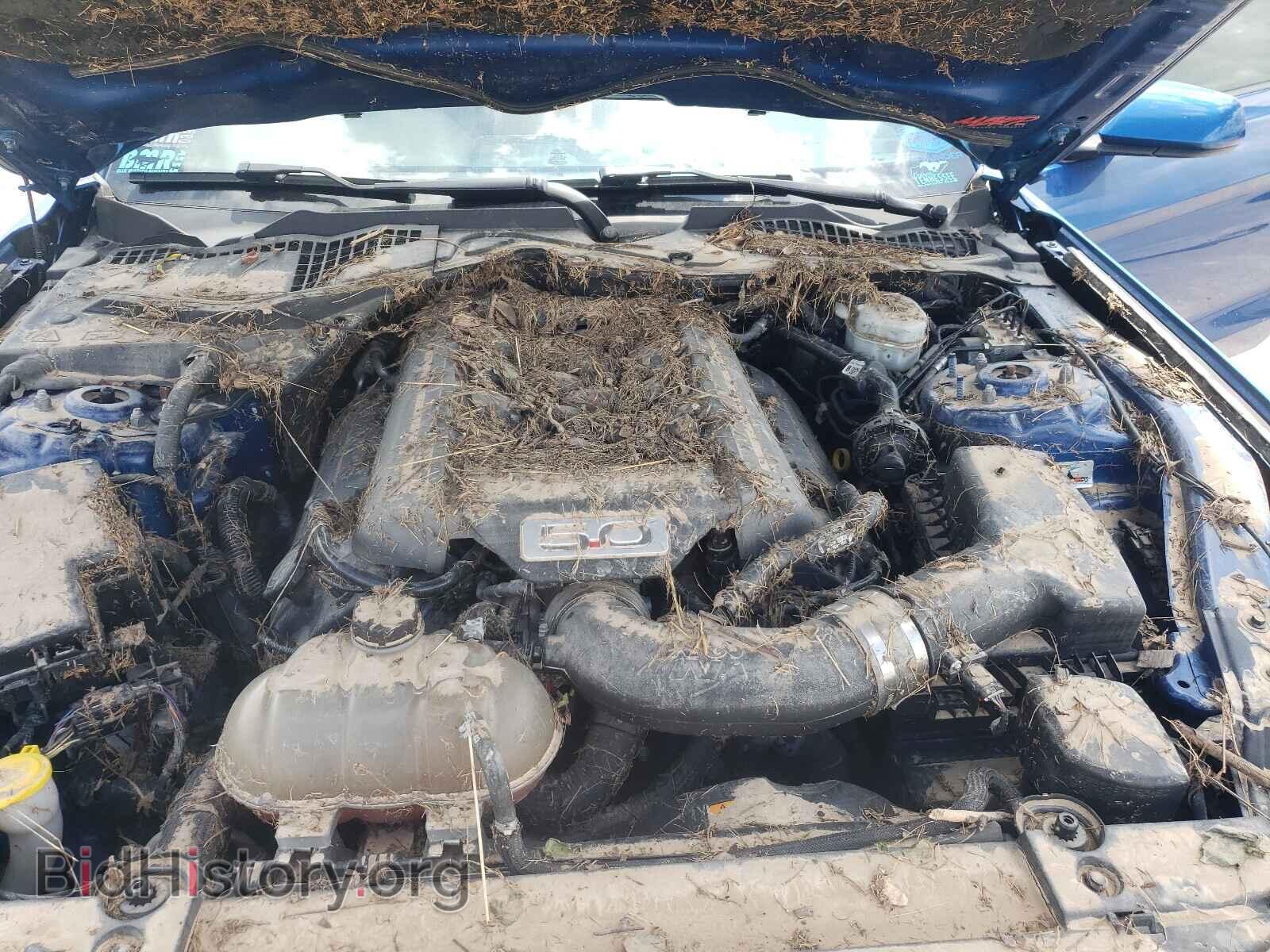 2017 FORD MUSTANG - VIN: 1FA6P8CF4H5309043 - Фото 7