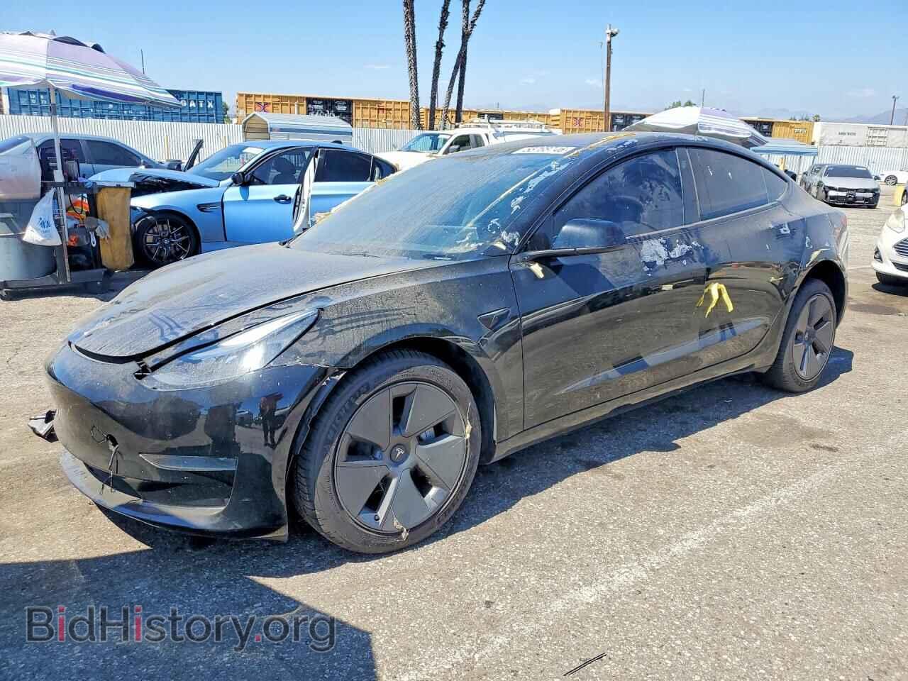 Photo 5YJ3E1EA7PF462962 - TESLA MODEL 3 2023