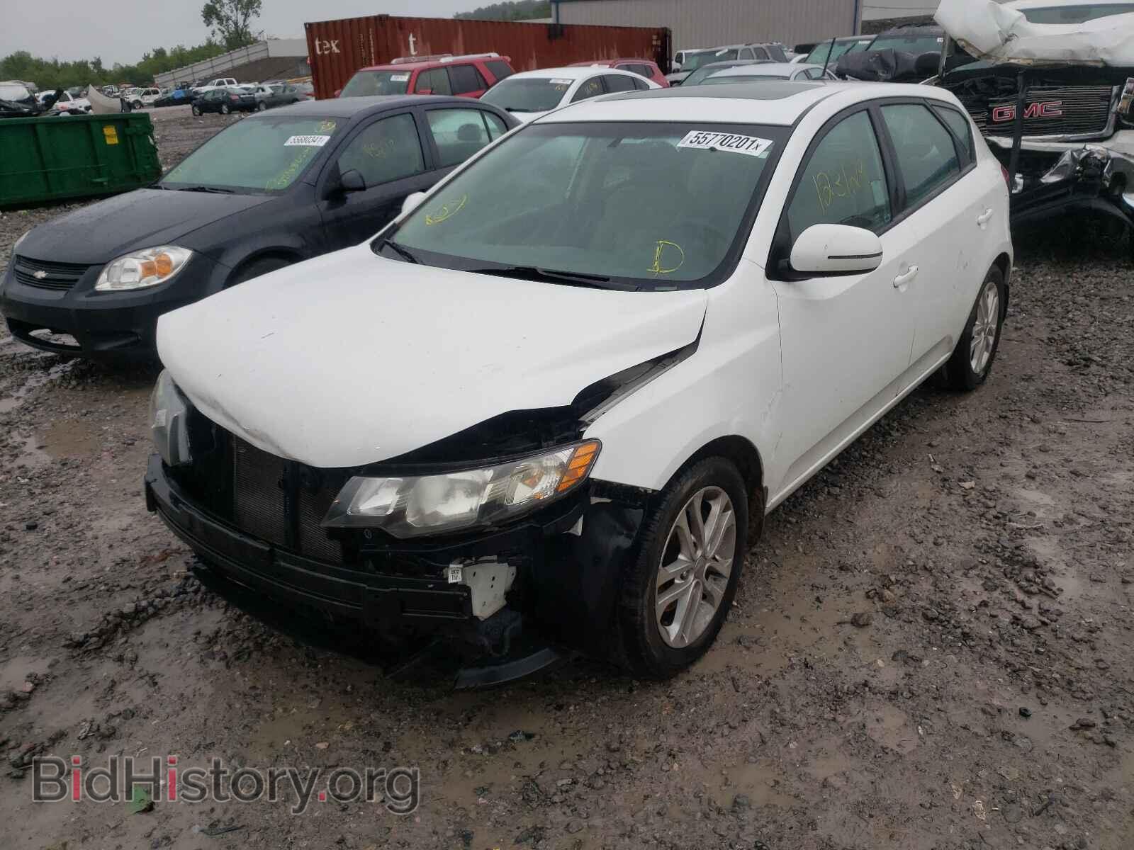 2012 KIA FORTE - VIN: KNAFU5A23C5604125 - Фото 2