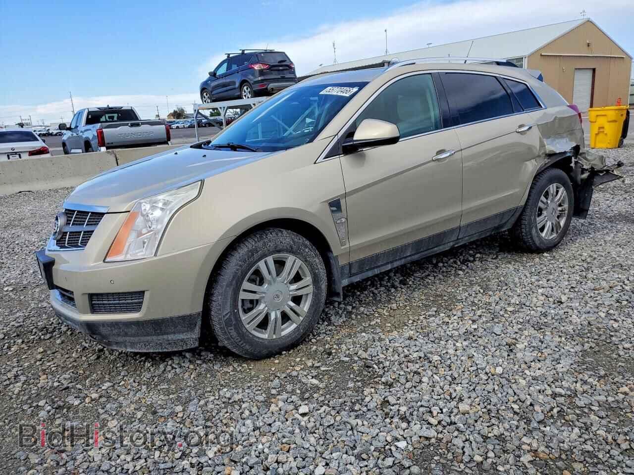 Photo 3GYFNDEY8BS528876 - CADILLAC SRX 2011