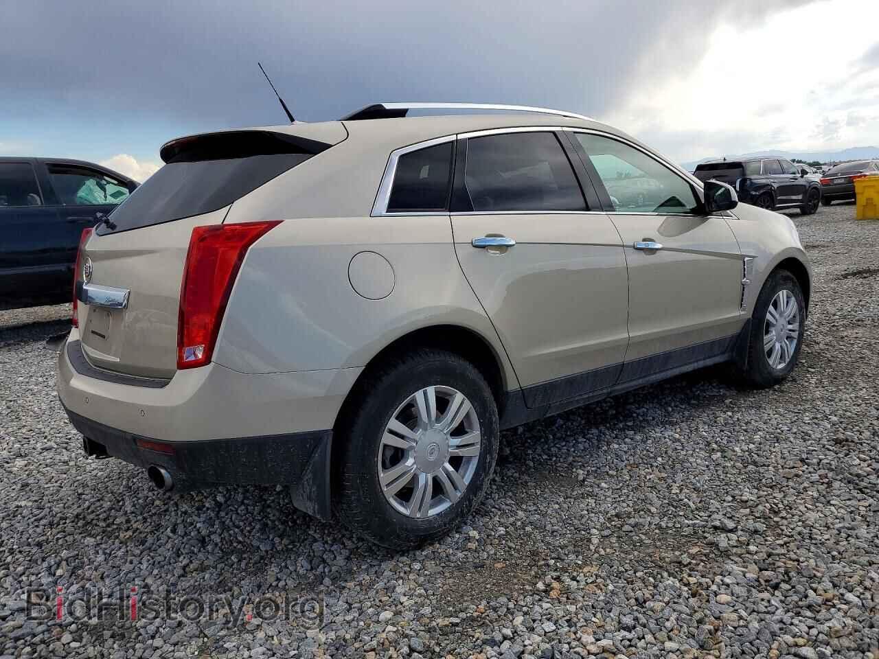 2011 CADILLAC SRX - VIN: 3GYFNDEY8BS528876 - Фото 3