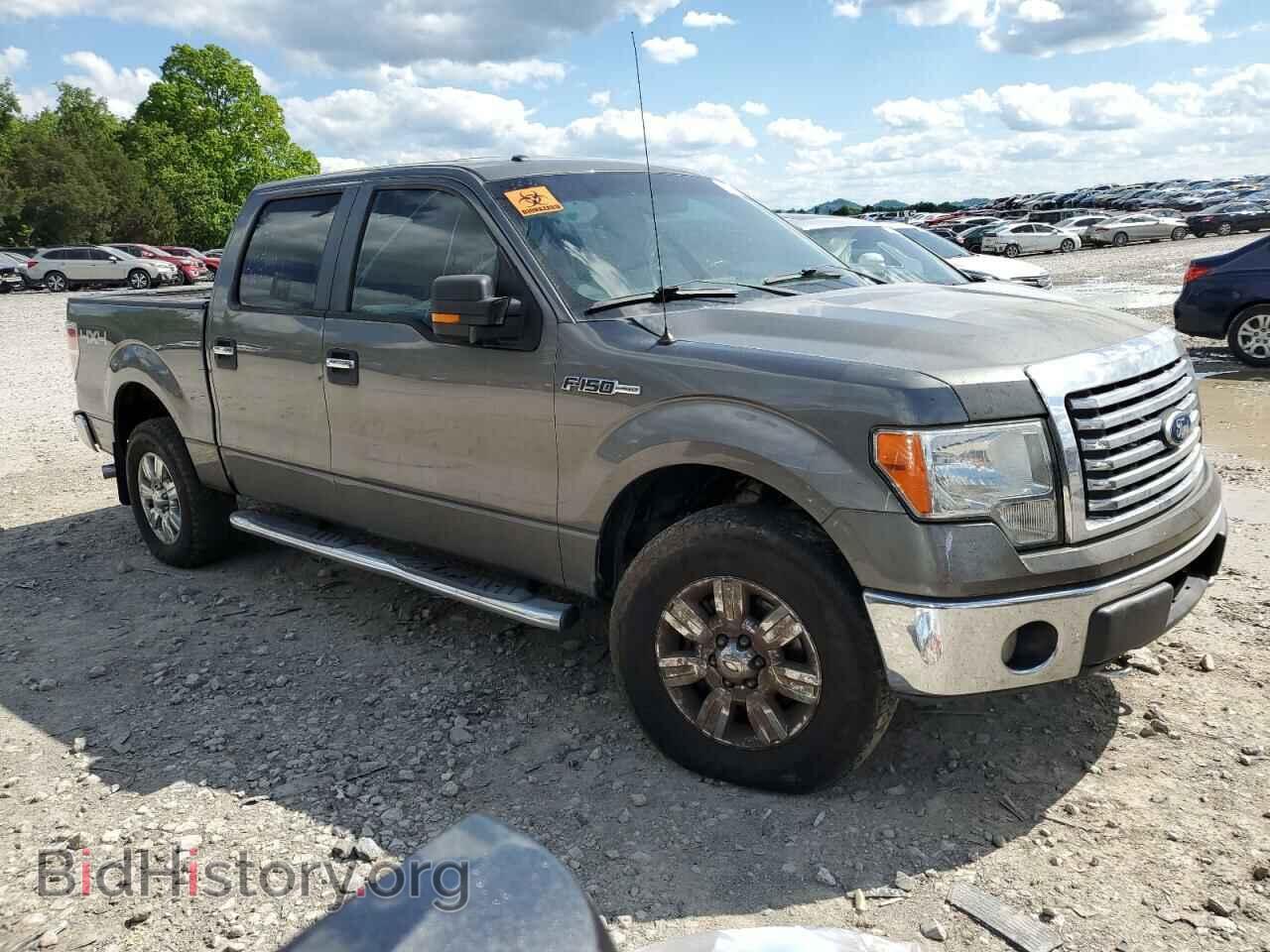 2010 FORD F-150 - VIN: 1FTFW1EV5AFC45247 - Фото 4