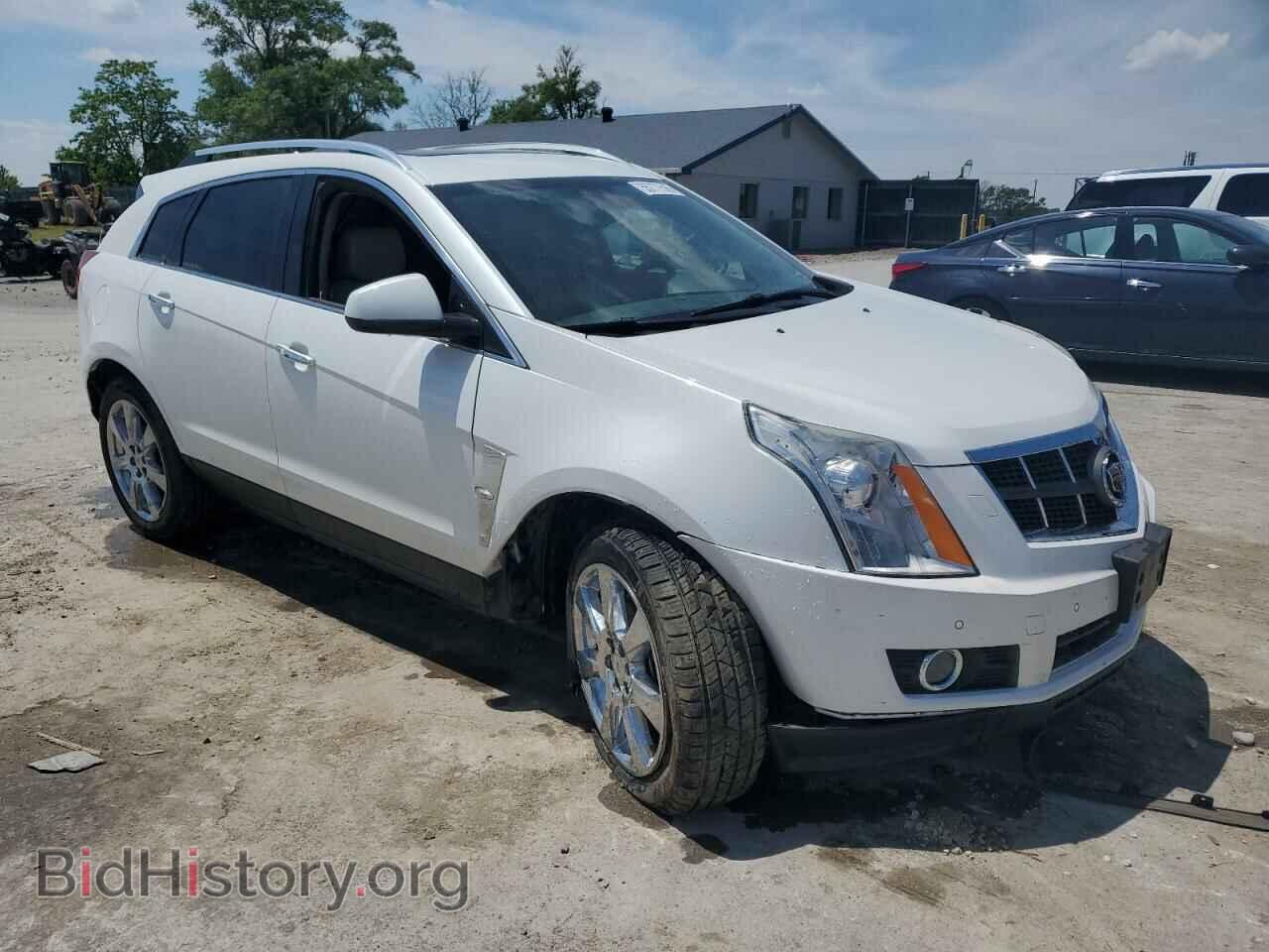2011 CADILLAC SRX - VIN: 3GYFNBEY9BS641868 - Фото 4