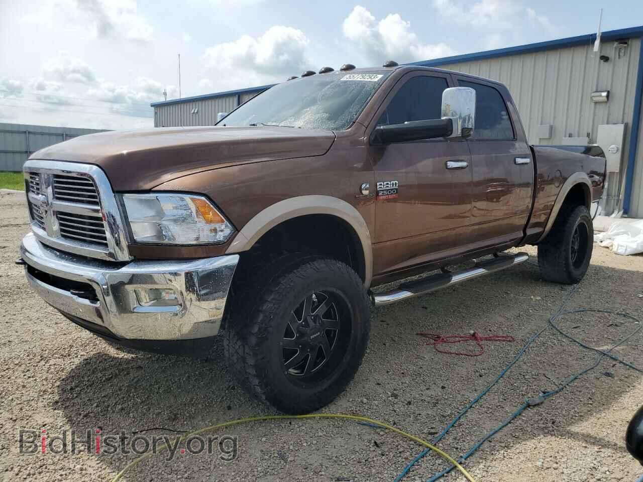Photo 3D7UT2CL8BG619783 - DODGE All Models 2011