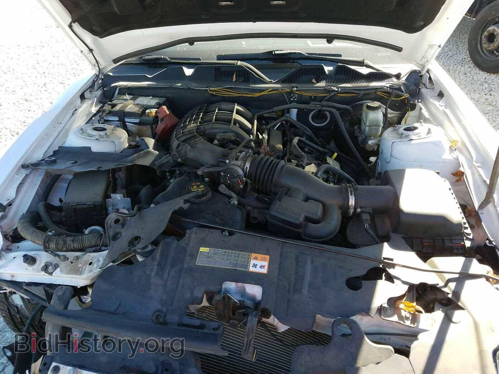 2014 FORD MUSTANG - VIN: 1ZVBP8AM4E5264284 - Фото 7