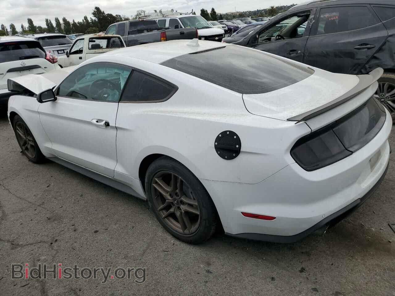 2021 FORD ALL Models - VIN: 1FA6P8THXM5120747 - Photo 2