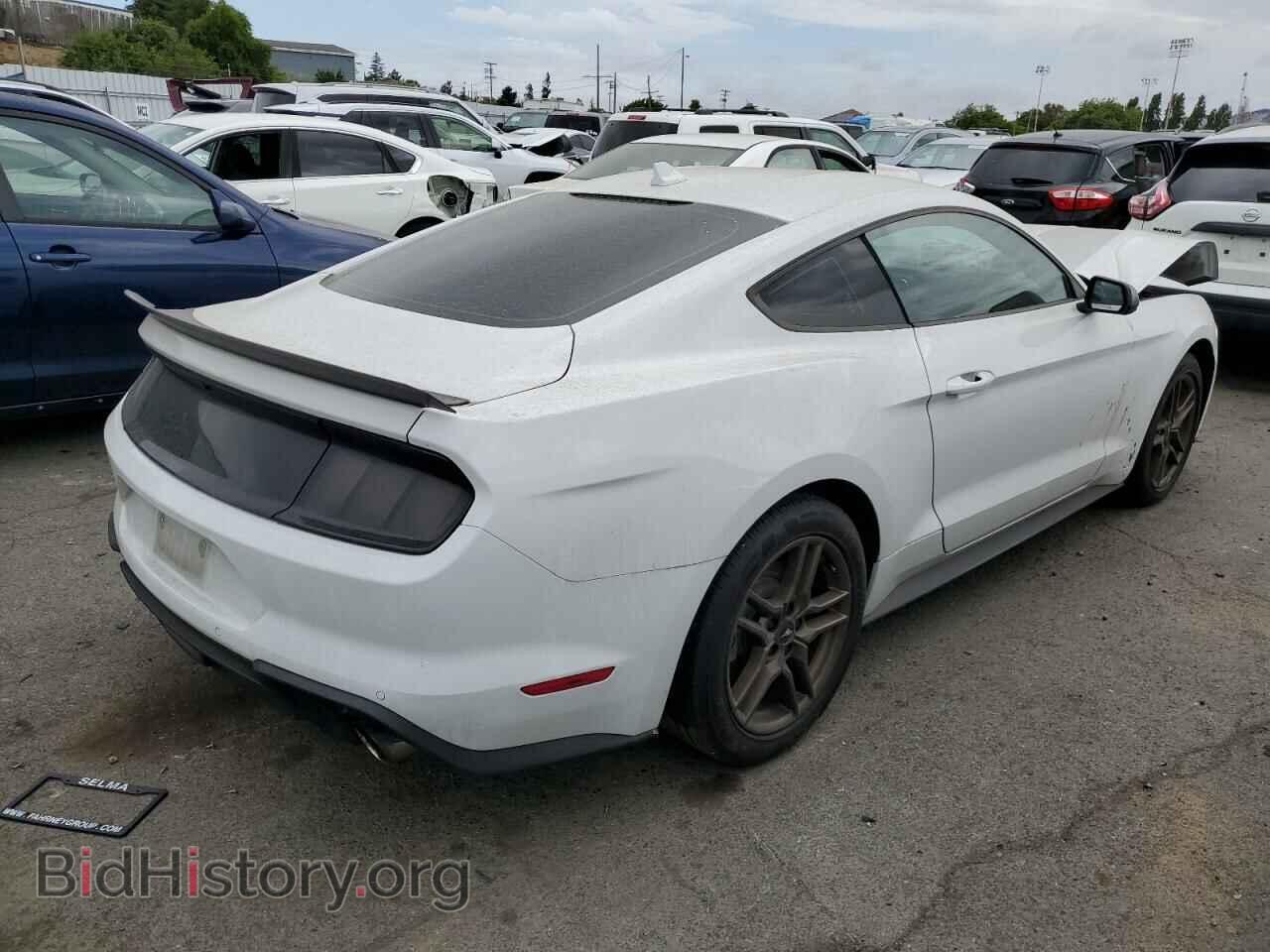 2021 FORD ALL Models - VIN: 1FA6P8THXM5120747 - Photo 3