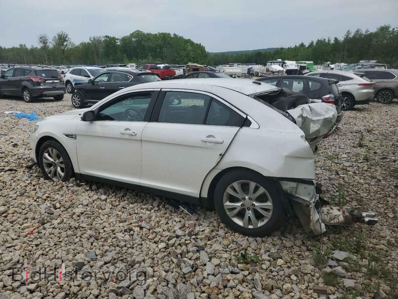 2010 FORD TAURUS - VIN: 1FAHP2EW5AG108149 - Фото 2
