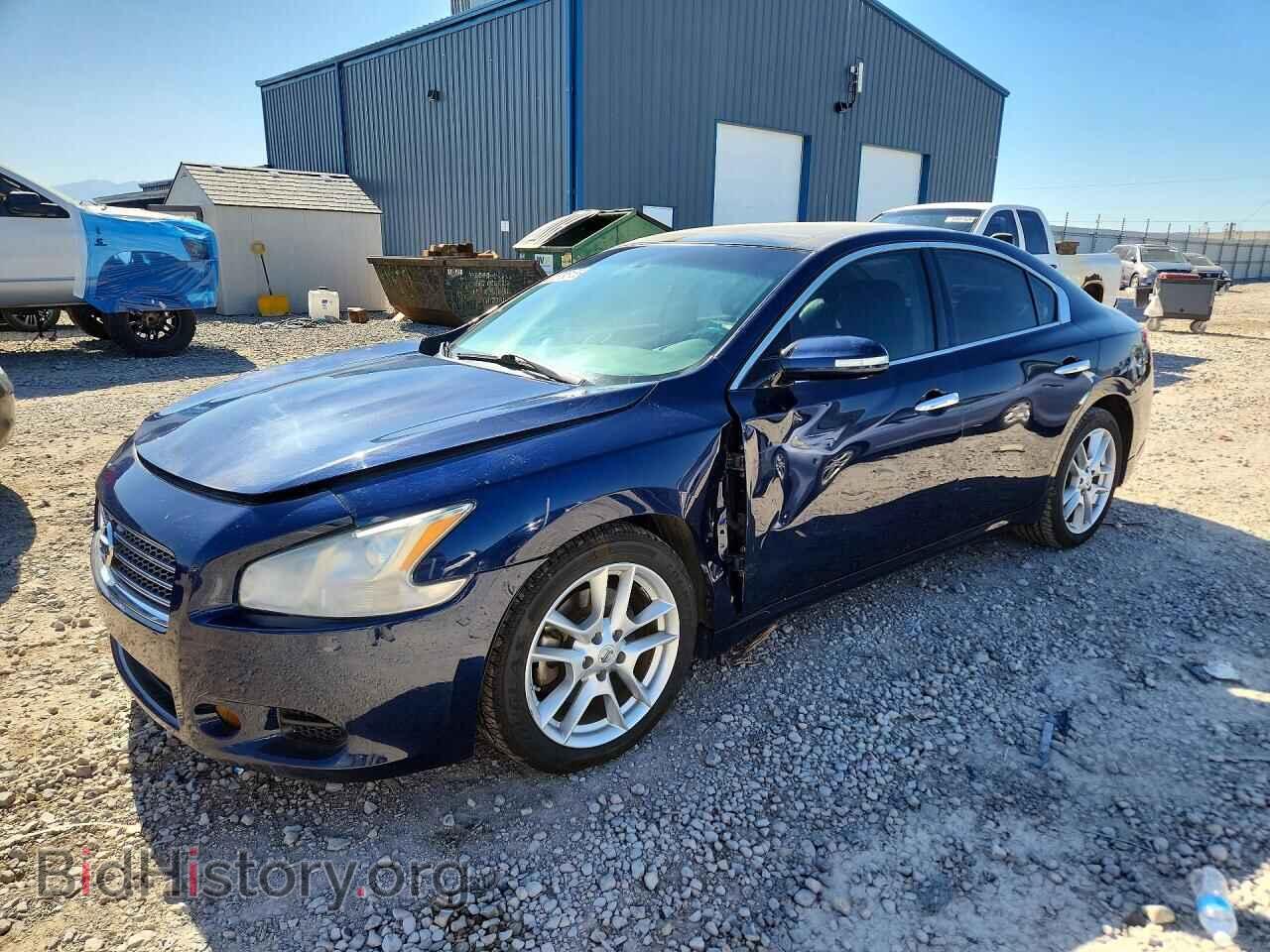 Фотография 1N4AA5AP7BC842996 - NISSAN MAXIMA 2011