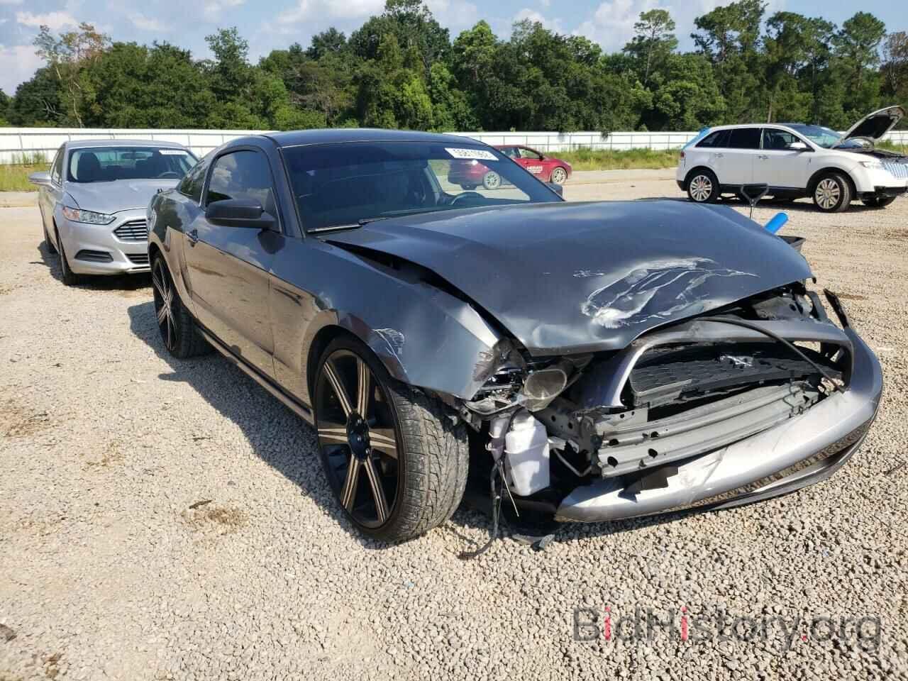 Photo 1ZVBP8AM7E5311629 - FORD MUSTANG 2014
