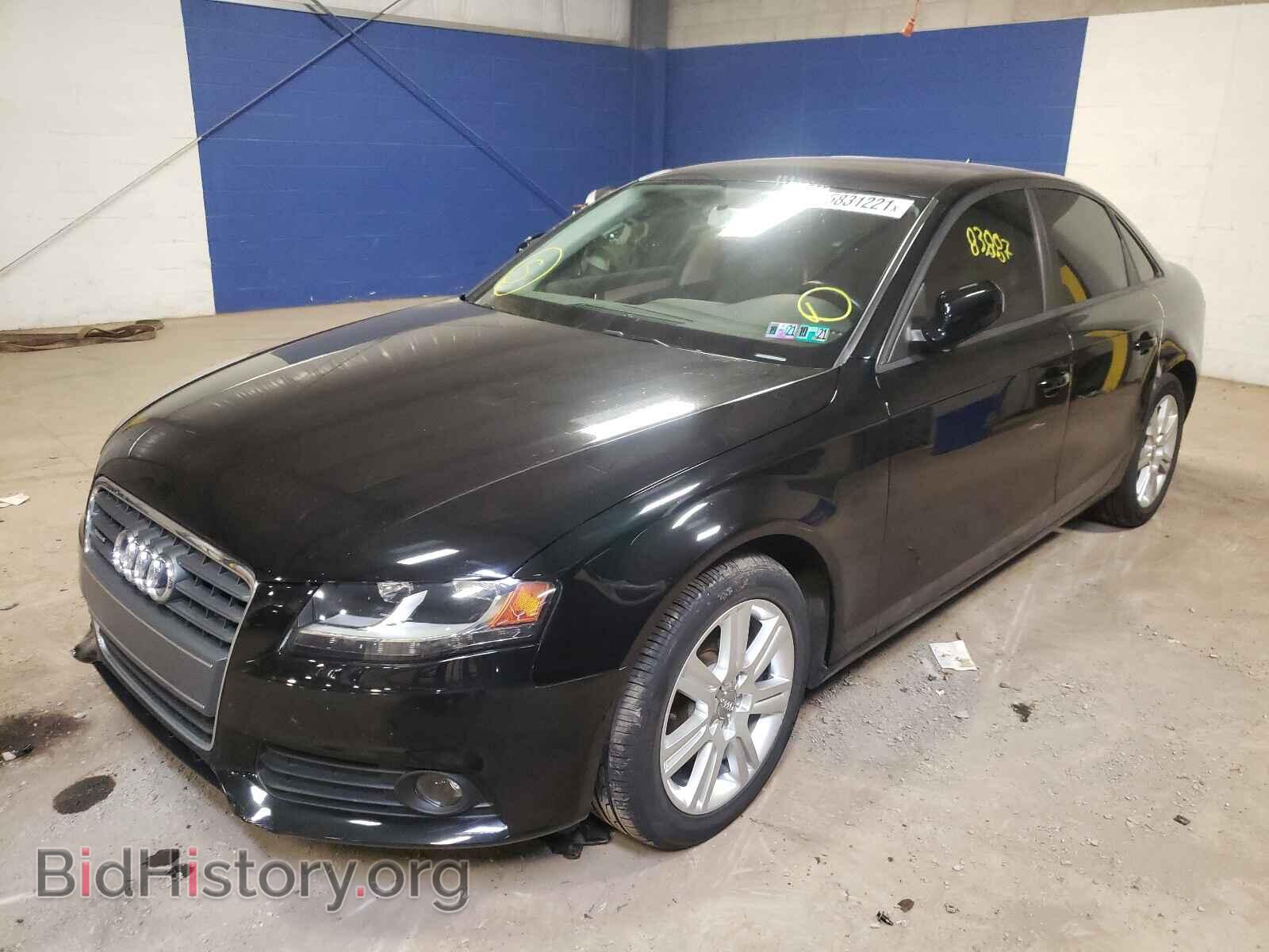 2011 AUDI A4 - VIN: WAUBFAFLXBN004316 - Фото 2