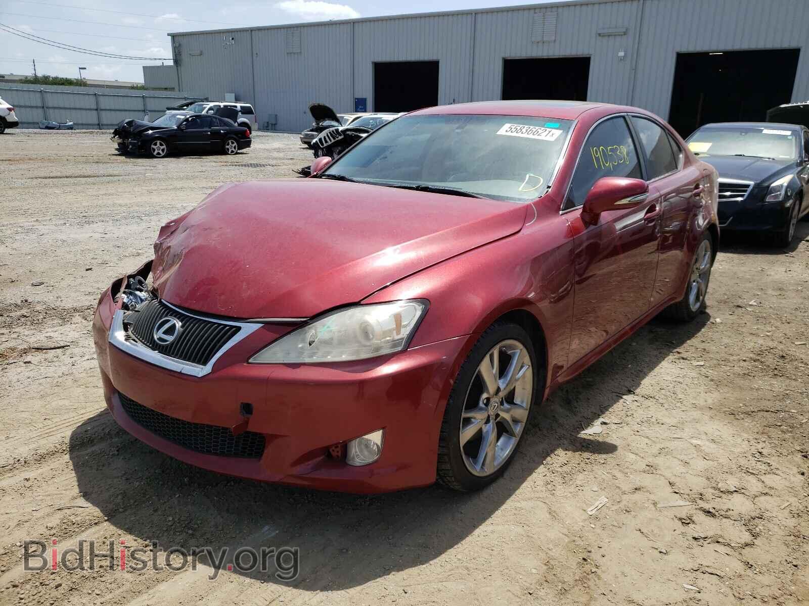 2009 LEXUS IS - VIN: JTHBK262595095189 - Фото 2