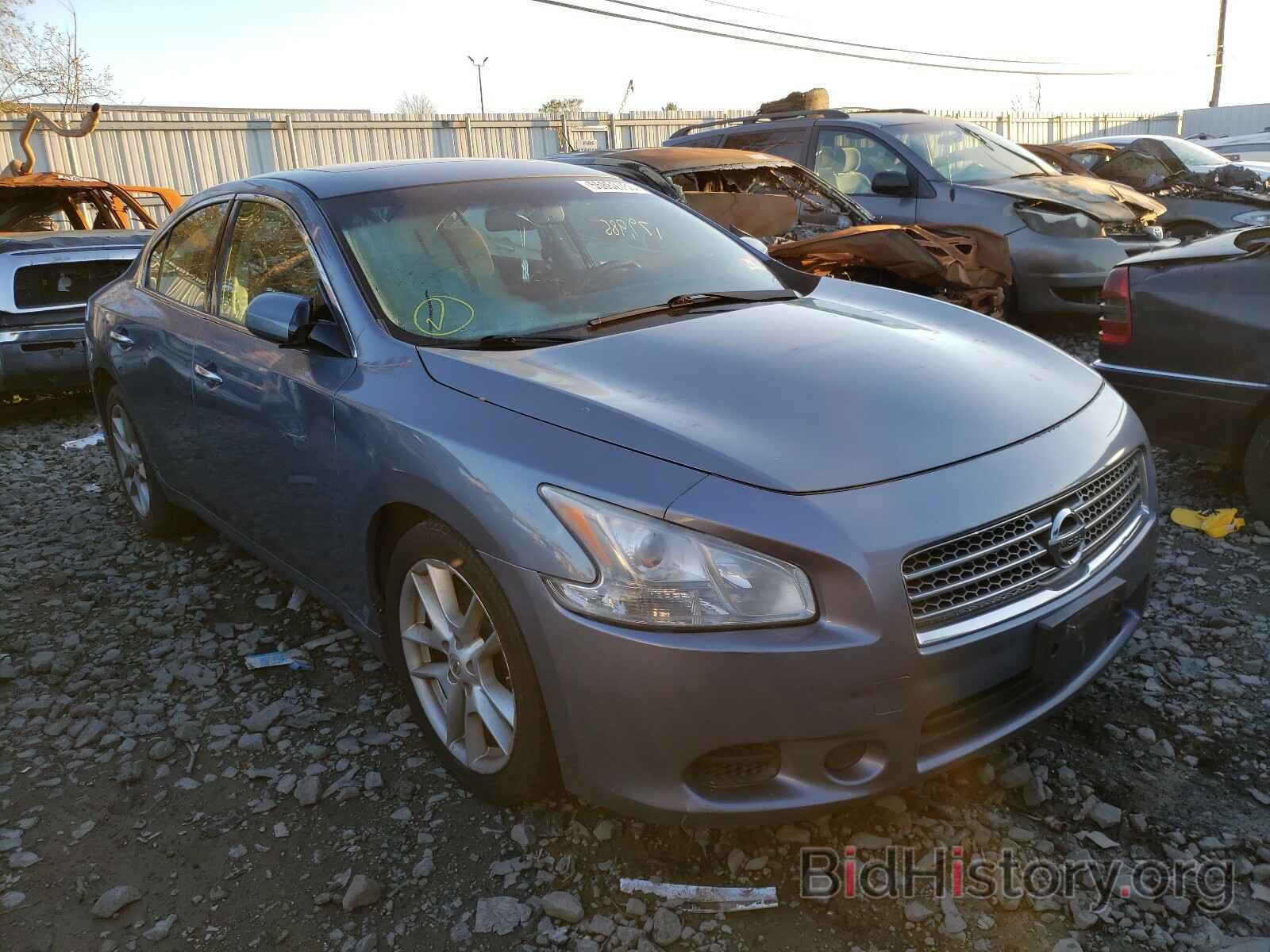 Photo 1N4AA5AP3AC854206 - NISSAN MAXIMA 2010