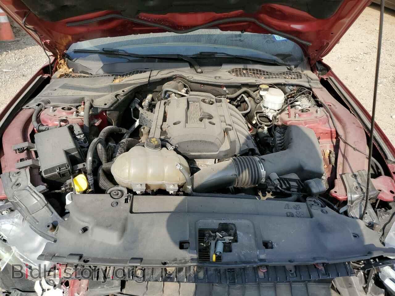 2019 FORD ALL Models - VIN: 1FA6P8TH4K5187910 - Photo 11